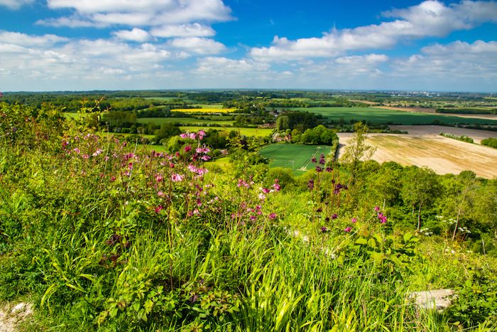 Kent Downs in Ashford