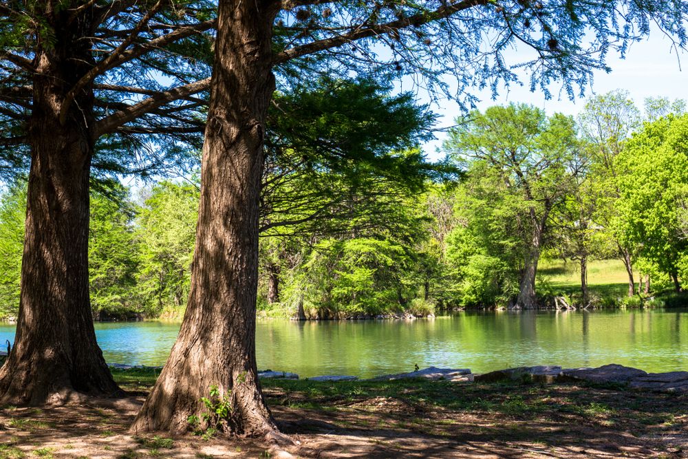 River flowing through the Kerrville-Schreiner Park