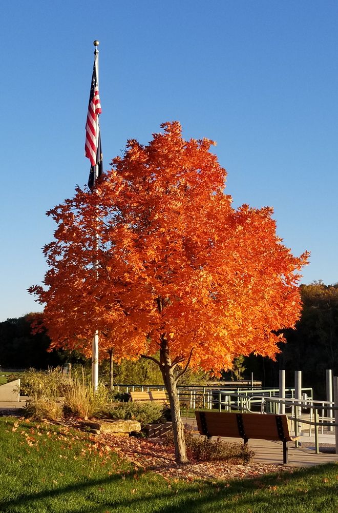 Kill Creek Park during fall