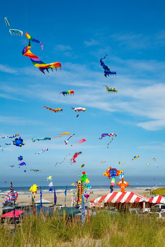 Colorful kites during the Kite Festival