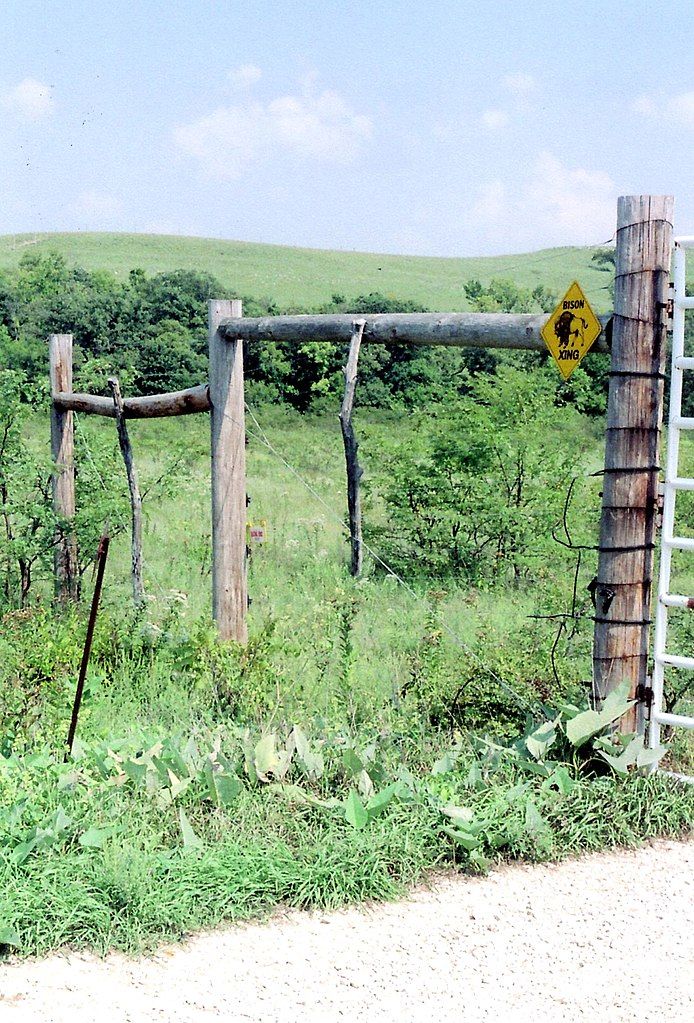 Mountain and fresh green grasses at Konza Prairie Biological Station