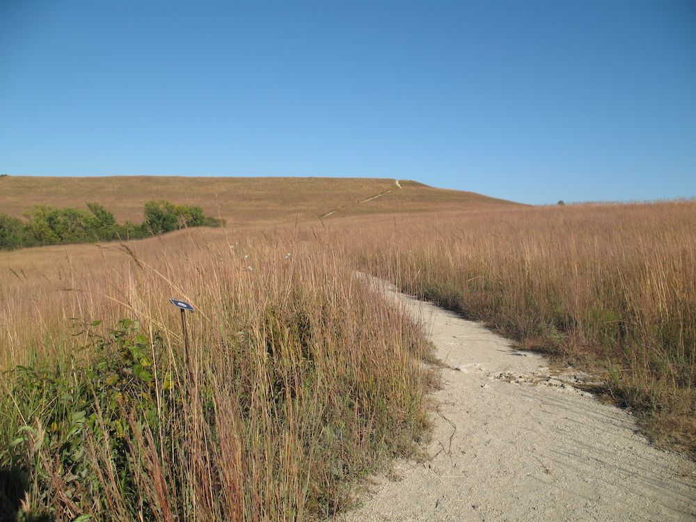 Narrow dusty pathway at Konza Prairie Biological Station