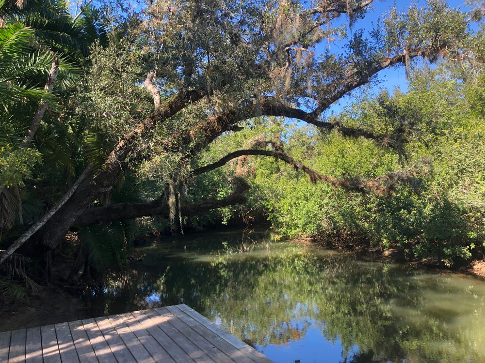 Boardwalk over the Estero River at Koreshan State Park