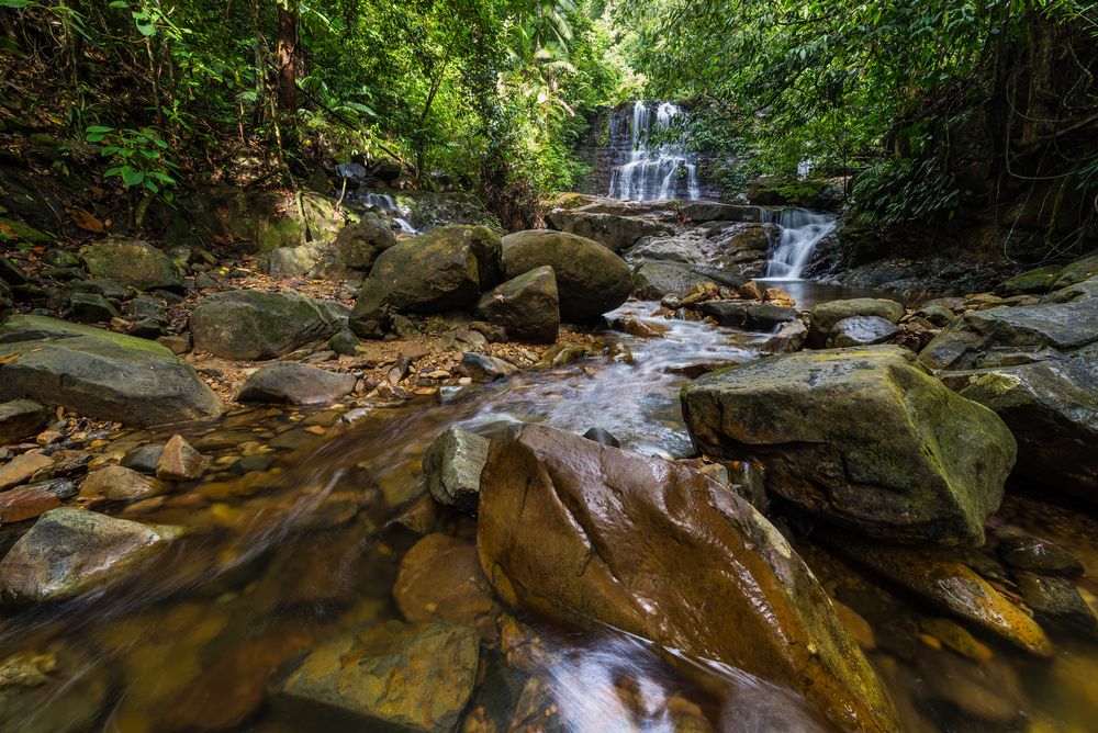 Waterfall at Kubah National Park