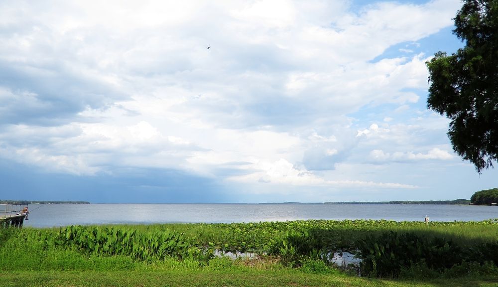 Overview of Lake Harris.