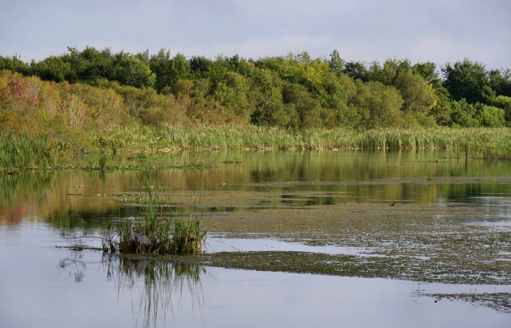 View of the marsh from a boat