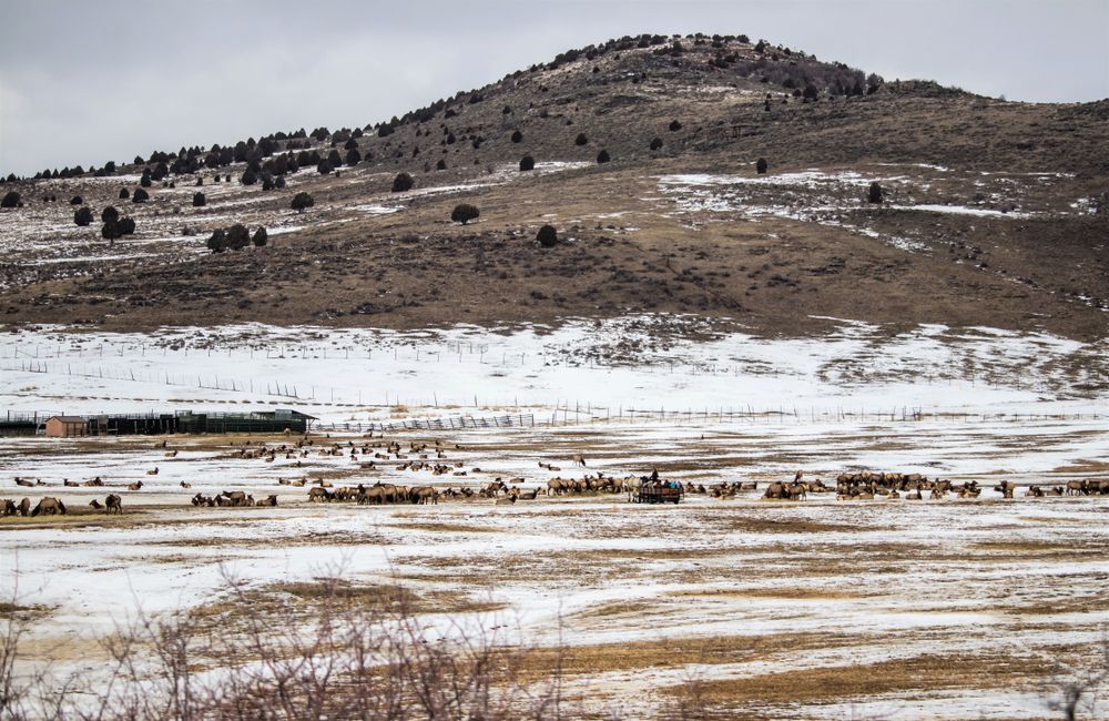 Landscape of Hardware Wildlife Management Area