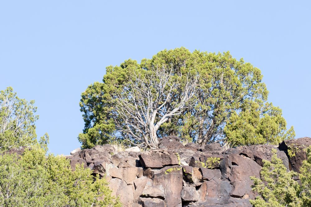 View of Ancient La Cieneguilla Petroglyphs