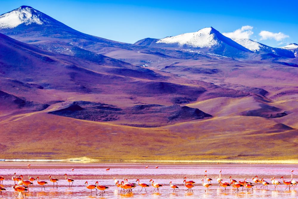Laguna Colarada