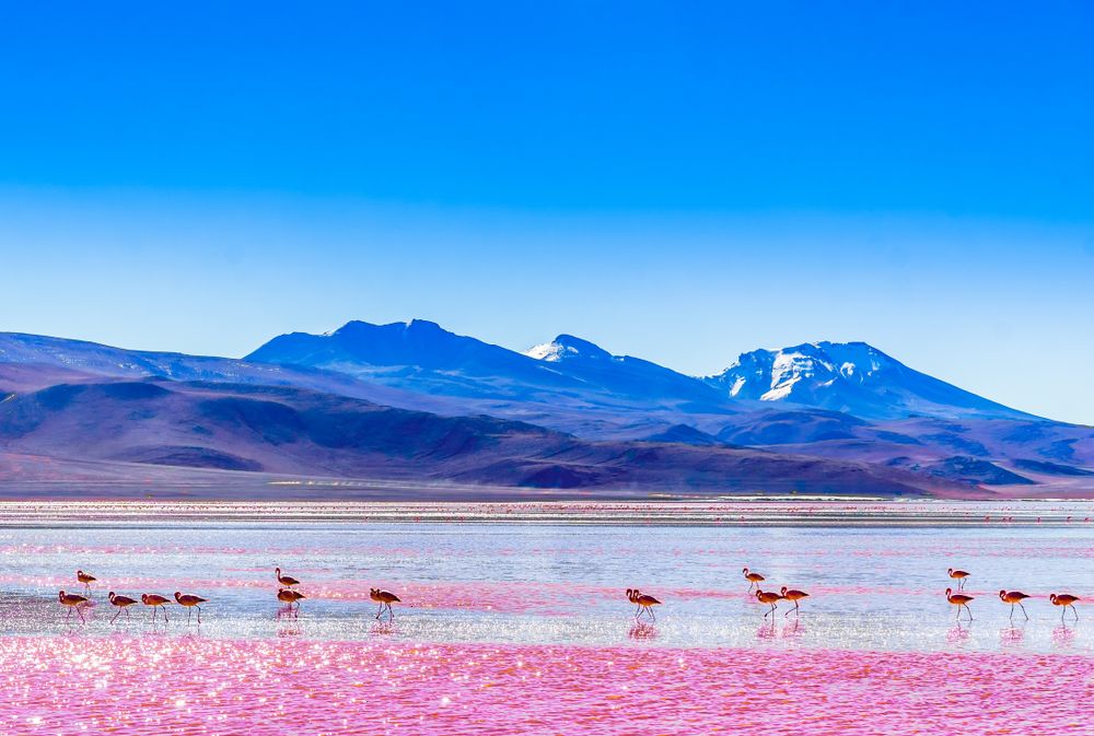 Laguna Colarada