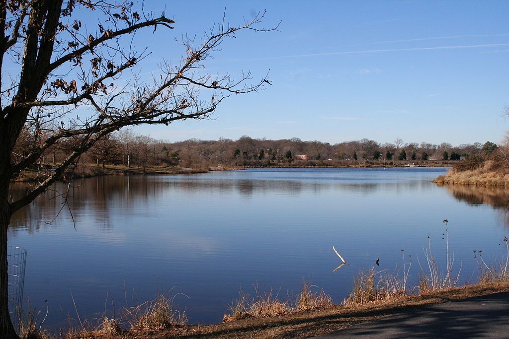 Serene atmosphere of the Lake Artemesia