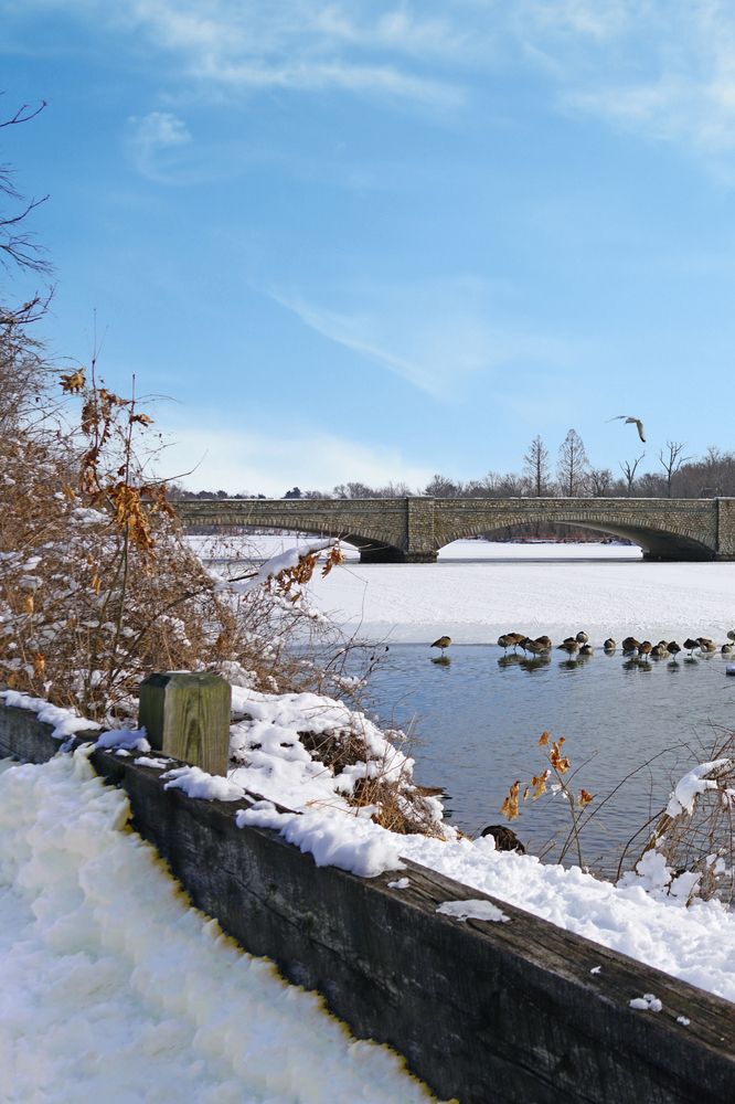 Lake Carnegie covered in snow during winter