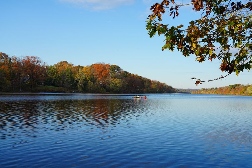 People boating in Lake Carnegie