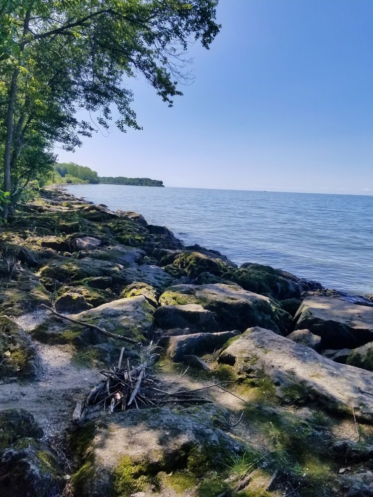 Scenic view of Lake Erie State Park
