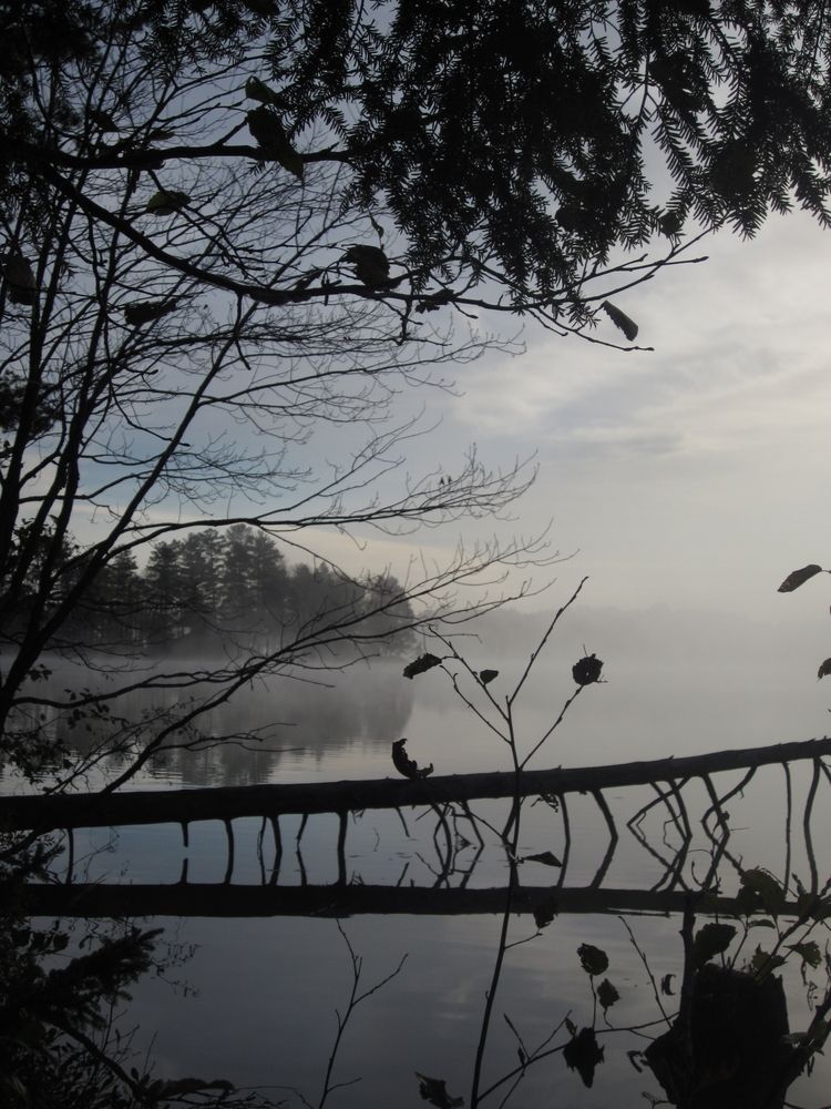 Lake Forest Resort on a foggy morning