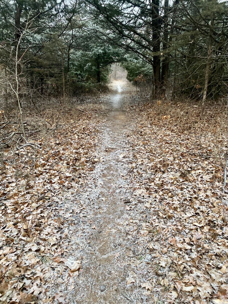 Natural trail to Lake McMurtry