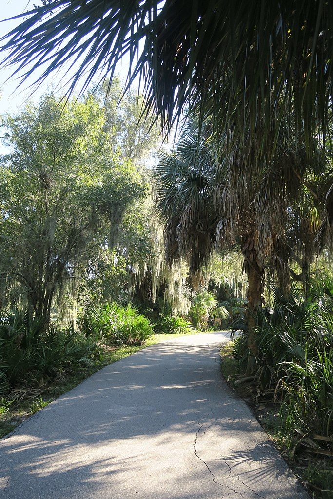 Walkway at Lake Seminole Park