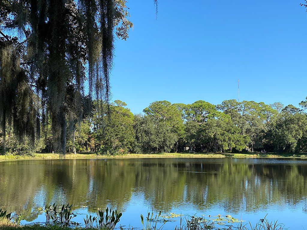 Stunning view of the Lake Seminole Park