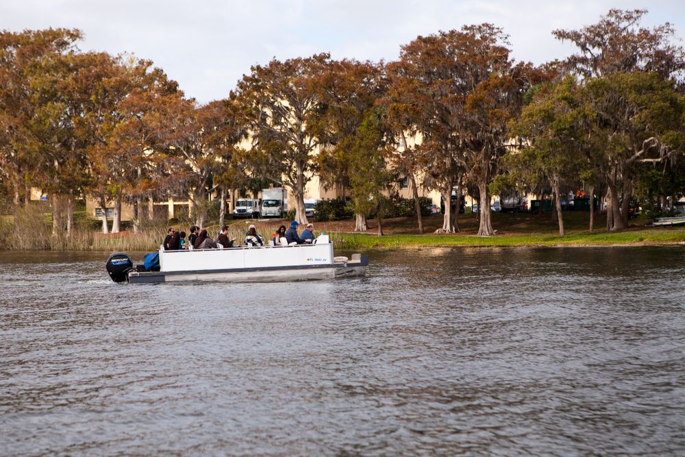 Scenic boat tours in Lake Virginia
