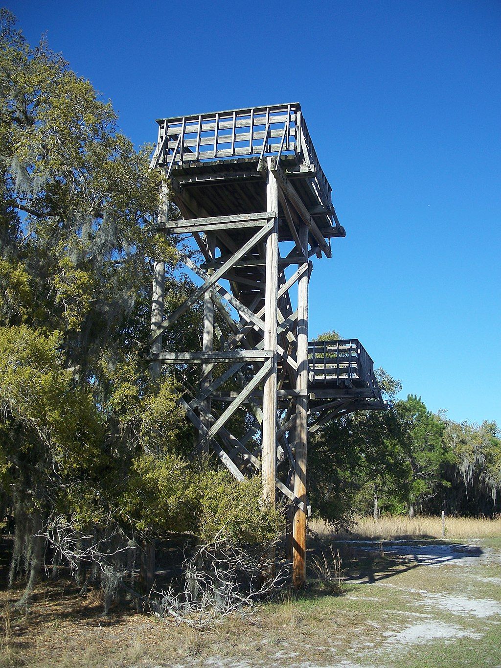 A Tower in Lake Kissimmee State Park