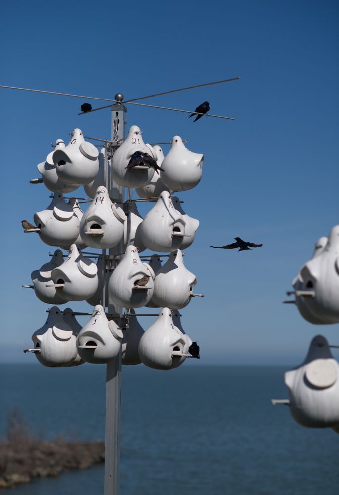 Bird house at Lakeview Park