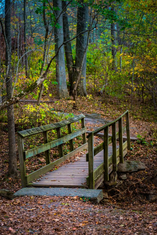 Wooden pedestrian bridge at Lancaster County Central Park