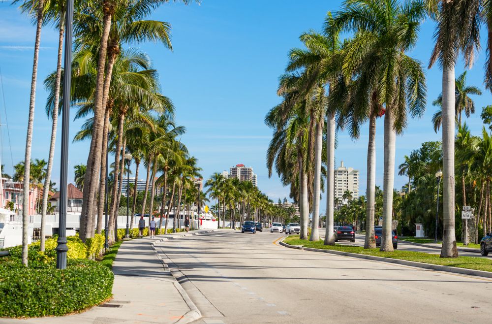 View of Las Olas Boulevard