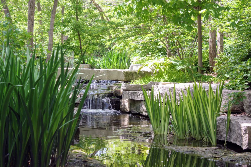 Small waterfall at Lauritzen Garden