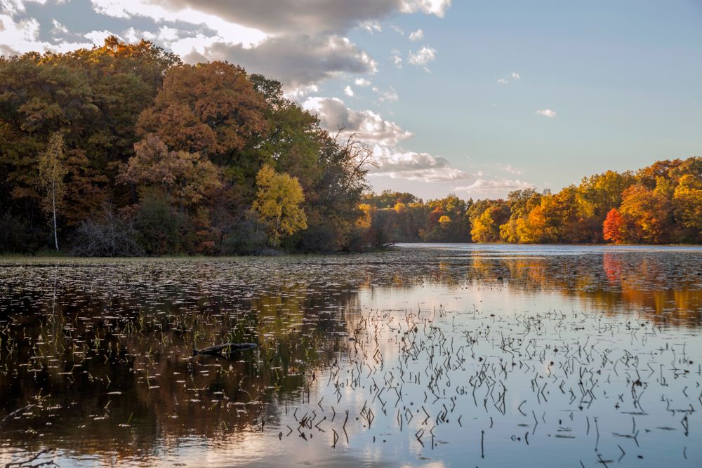 Autumn view of a lake at Lebanon Hills Regional Park