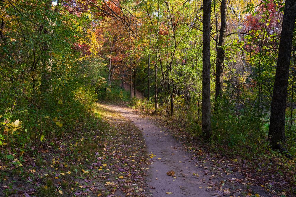 Nature trail at Lebanon Hills Regional Park