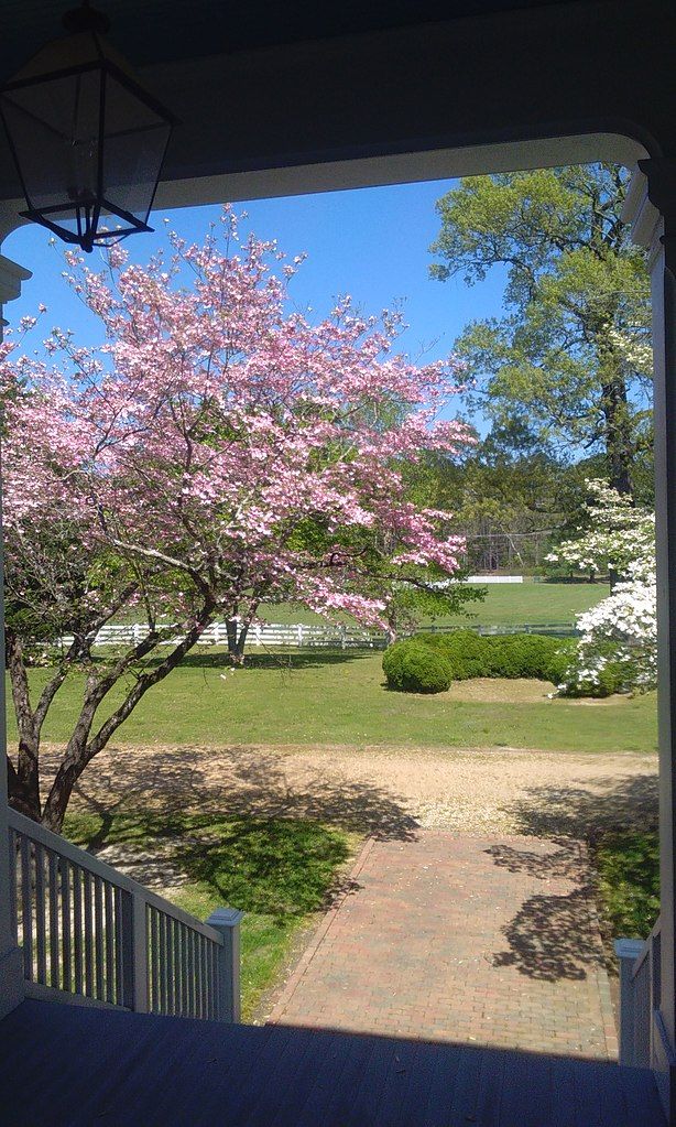 View from the porch of Lee Hall Mansion