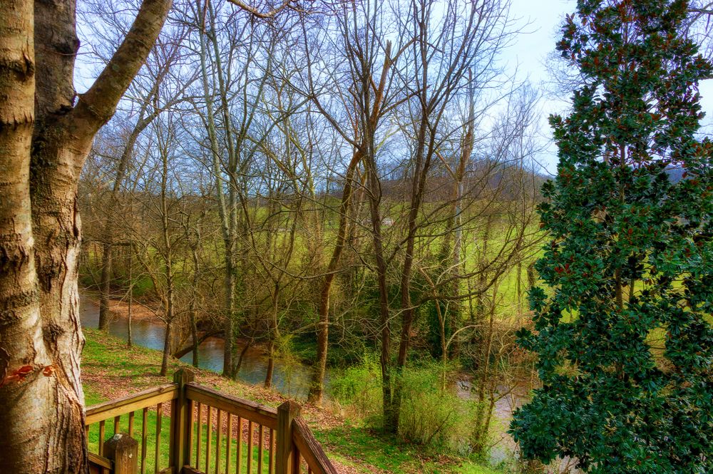 A narrow stream flowing through Leiper's Fork