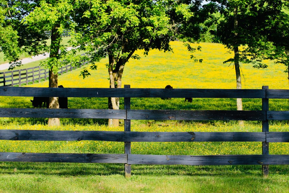 Fenced lawn at Leiper’s Fork