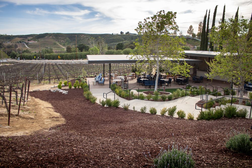 Vineyard at Leoness Cellars