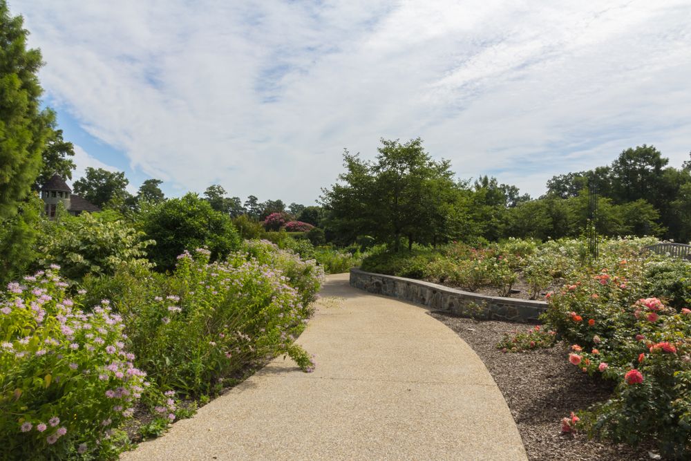 Paved path at Lewis Ginter Botanical Garden
