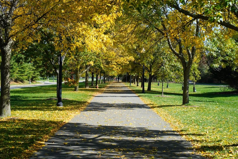 Trail at Liberty State Park
