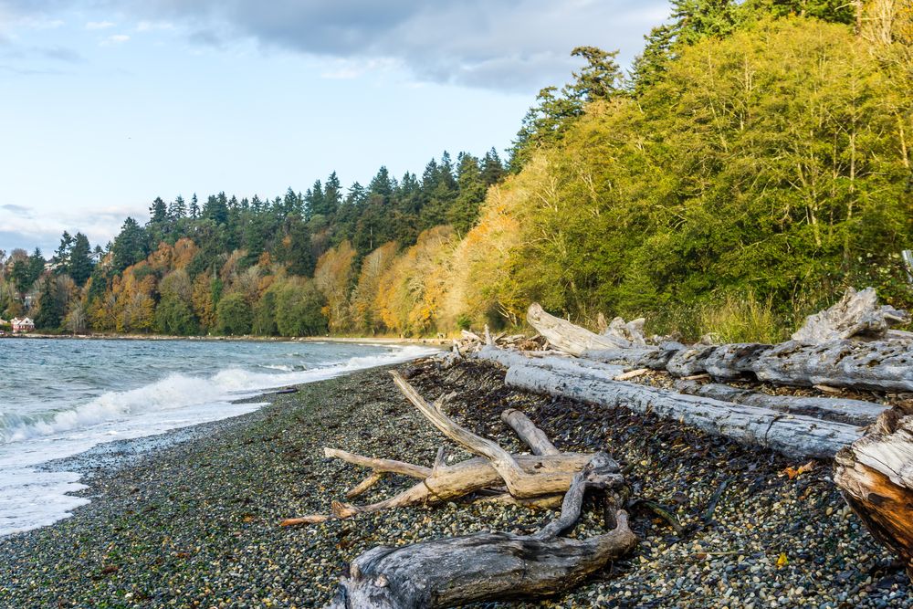 Shoreline at Lincoln Rock State Park