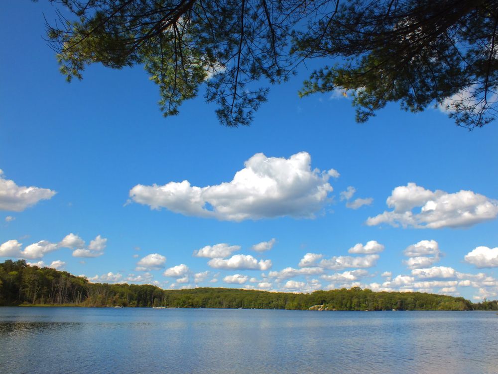 Commune with Nature at Lincoln Woods State Park in Pawtucket, RI