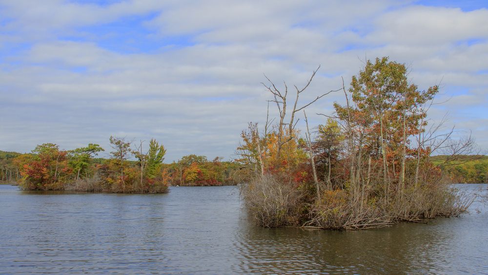 Commune with Nature at Lincoln Woods State Park in Pawtucket, RI