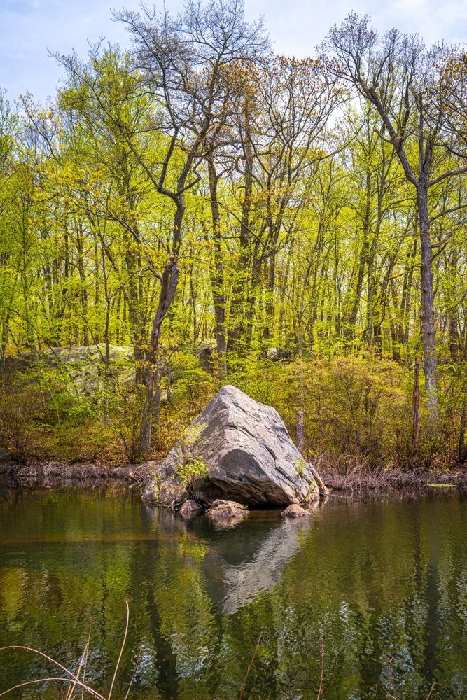 Scenic view of the Lincoln Woods State Park