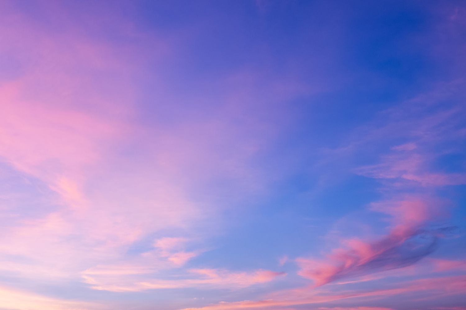 15 Best Things to Do in Linden, NJ Travel Lens