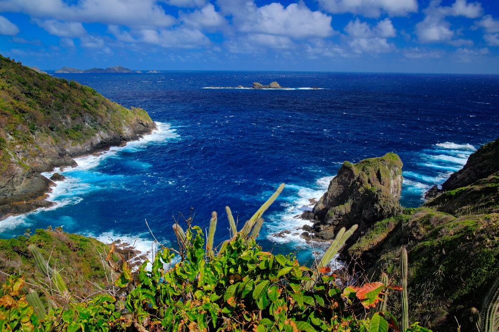 Little Tobago Island