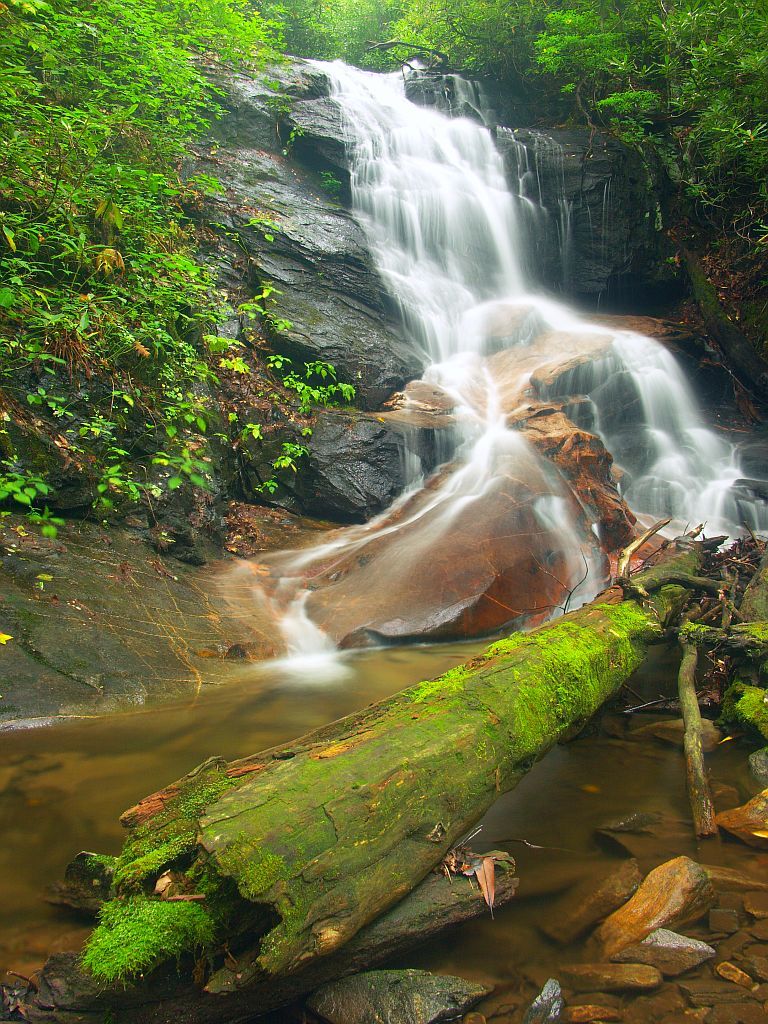 Cascades of Log Hollow Waterfalls