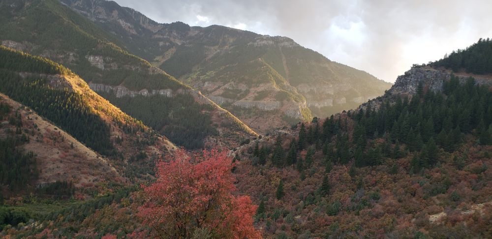 Scenic view of Logan Canyon