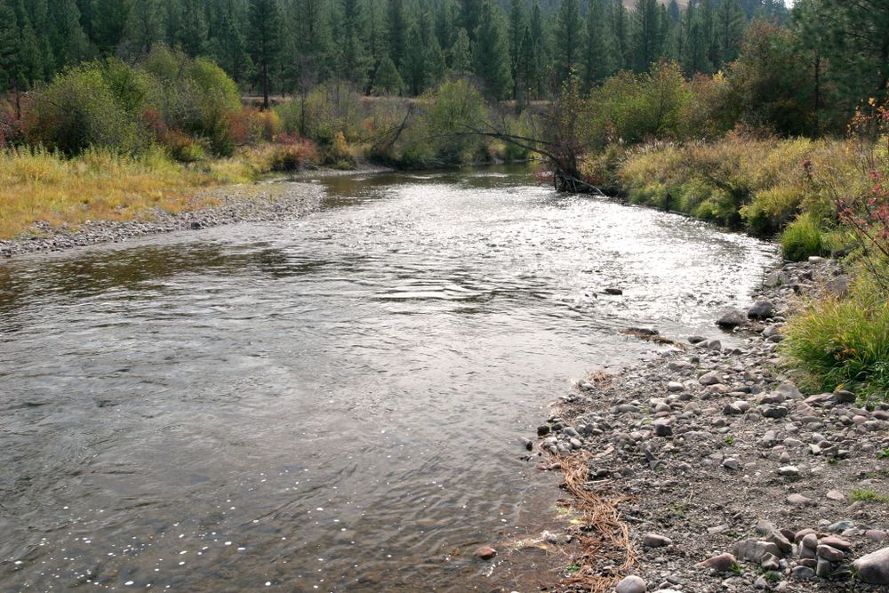 Waters of Lolo National Forest