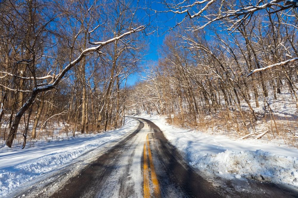 A road covered with snow passing through the Lone Elk Park