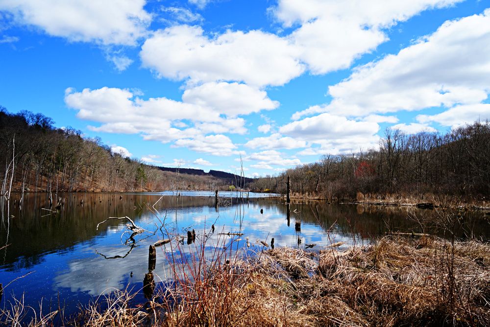 Beautiful view of the Long Pond Ironworks State Park