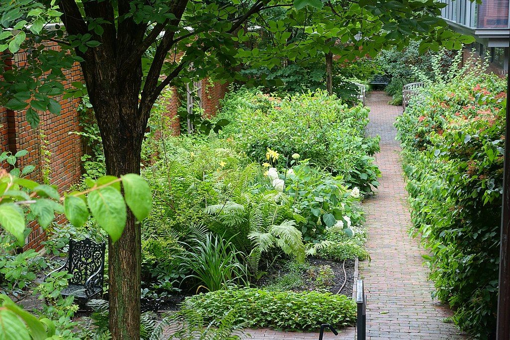 Pthway along the Longfellow Garden