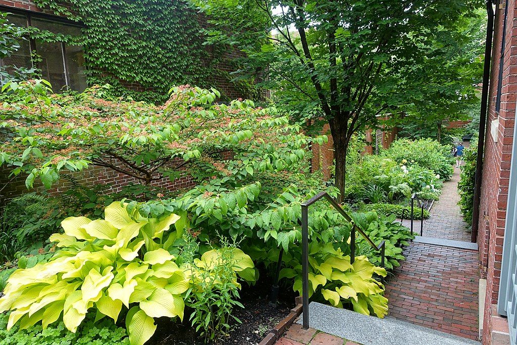 Scenic view of Longfellow Garden