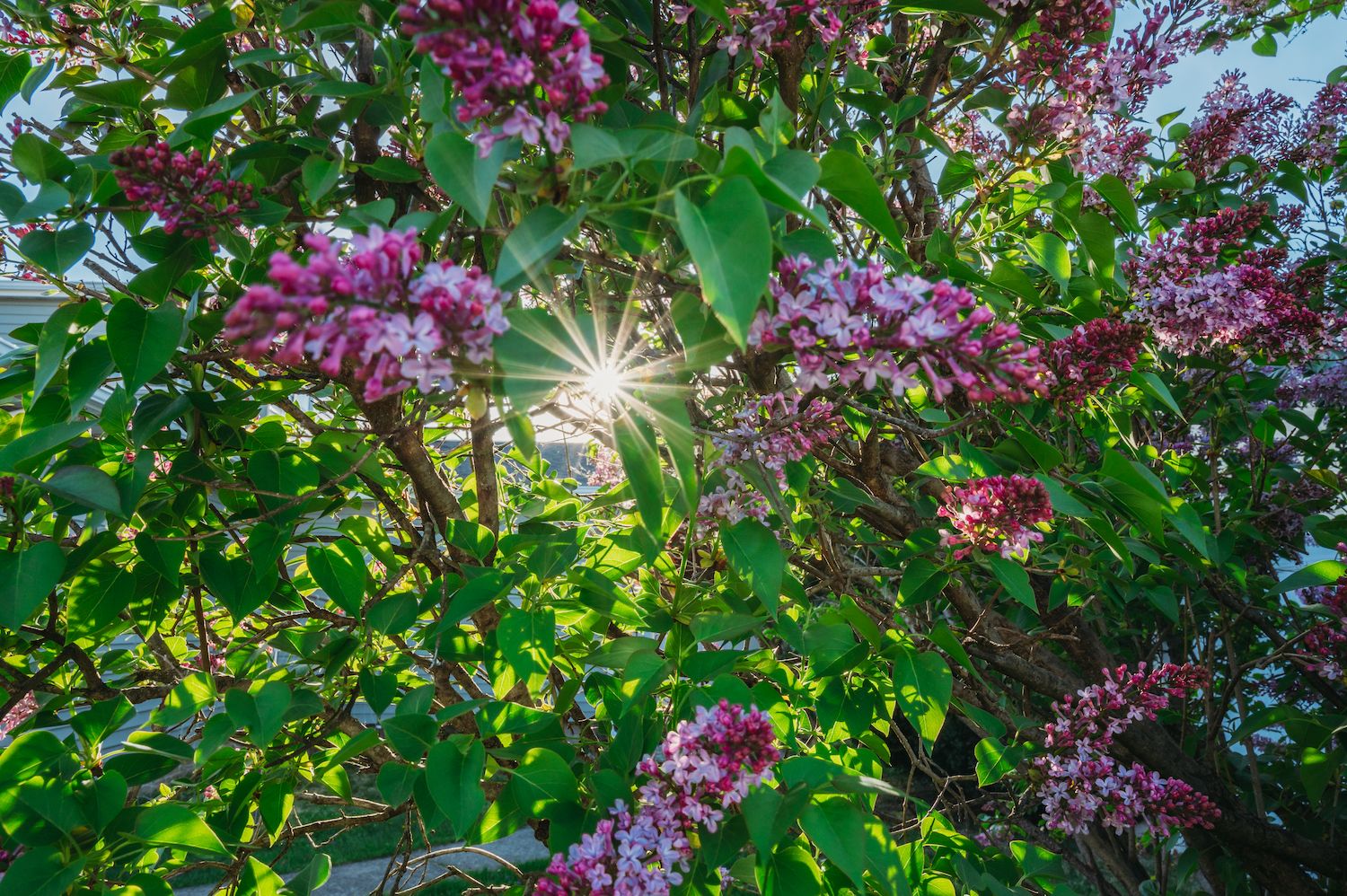 15 Best Things to Do in Loogootee, IN Travel Lens